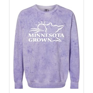 Tim Walz Wearing Minnesota Grown Colorblast Crewneck Sweatshirt