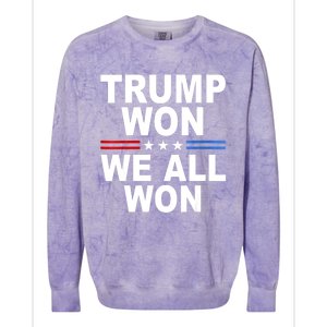 Trump Won We All Won 2024 Usa Flag Gift Colorblast Crewneck Sweatshirt