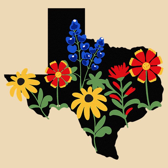 Texas Wildflowers With Bluebonnets Zip Tote Bag