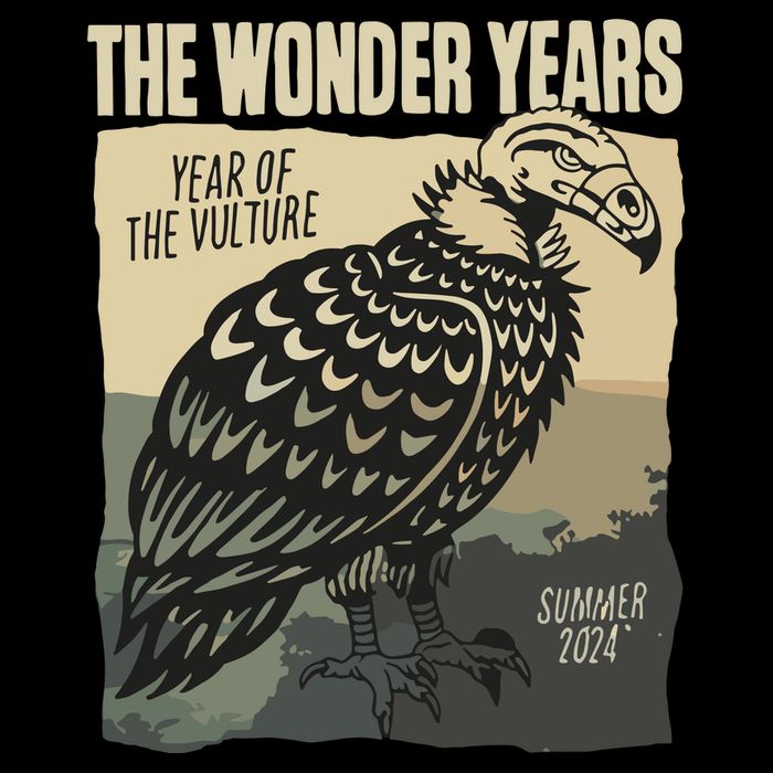 The Wonder Years Year Of The Vulture Summer 2024 Drawstring Bag