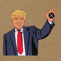 Trump Xrp Cotton Canvas Backpack