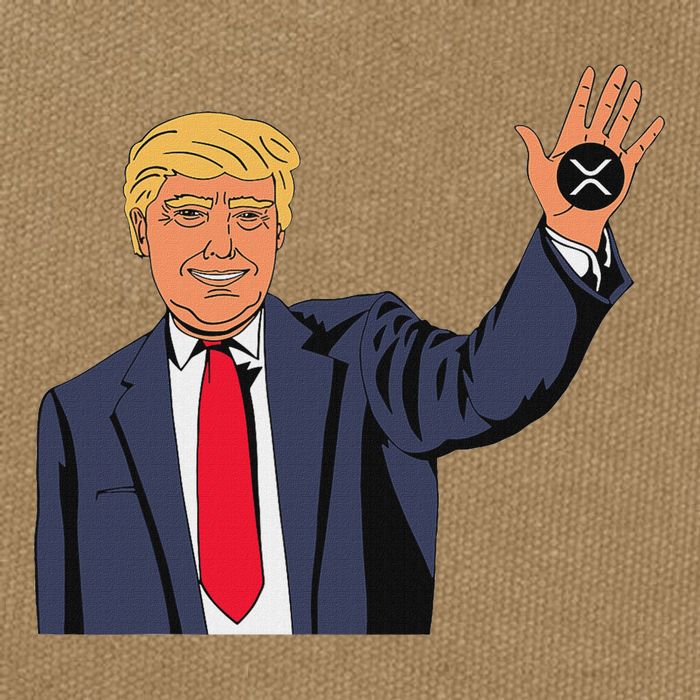 Trump Xrp Cotton Canvas Backpack