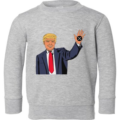 Trump Xrp Toddler Sweatshirt