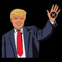Trump Xrp City Backpack