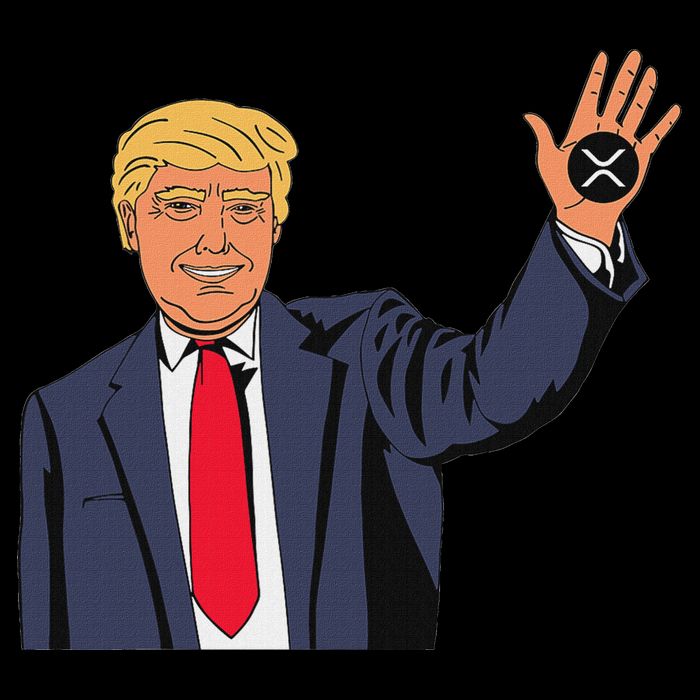 Trump Xrp City Backpack