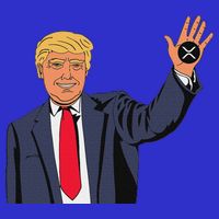 Trump Xrp 16 in Basic Backpack