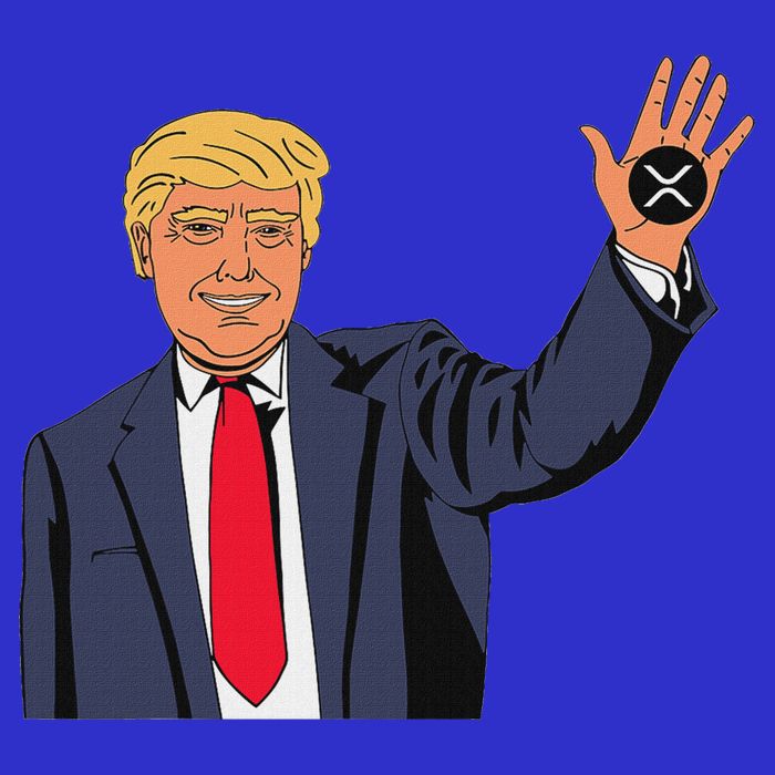 Trump Xrp 16 in Basic Backpack