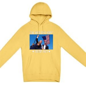 Take Your Best Shot Trump Shot Premium Pullover Hoodie