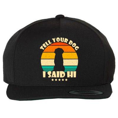 Tell Your Dog I Said Hi Funny Retro Wool Snapback Cap