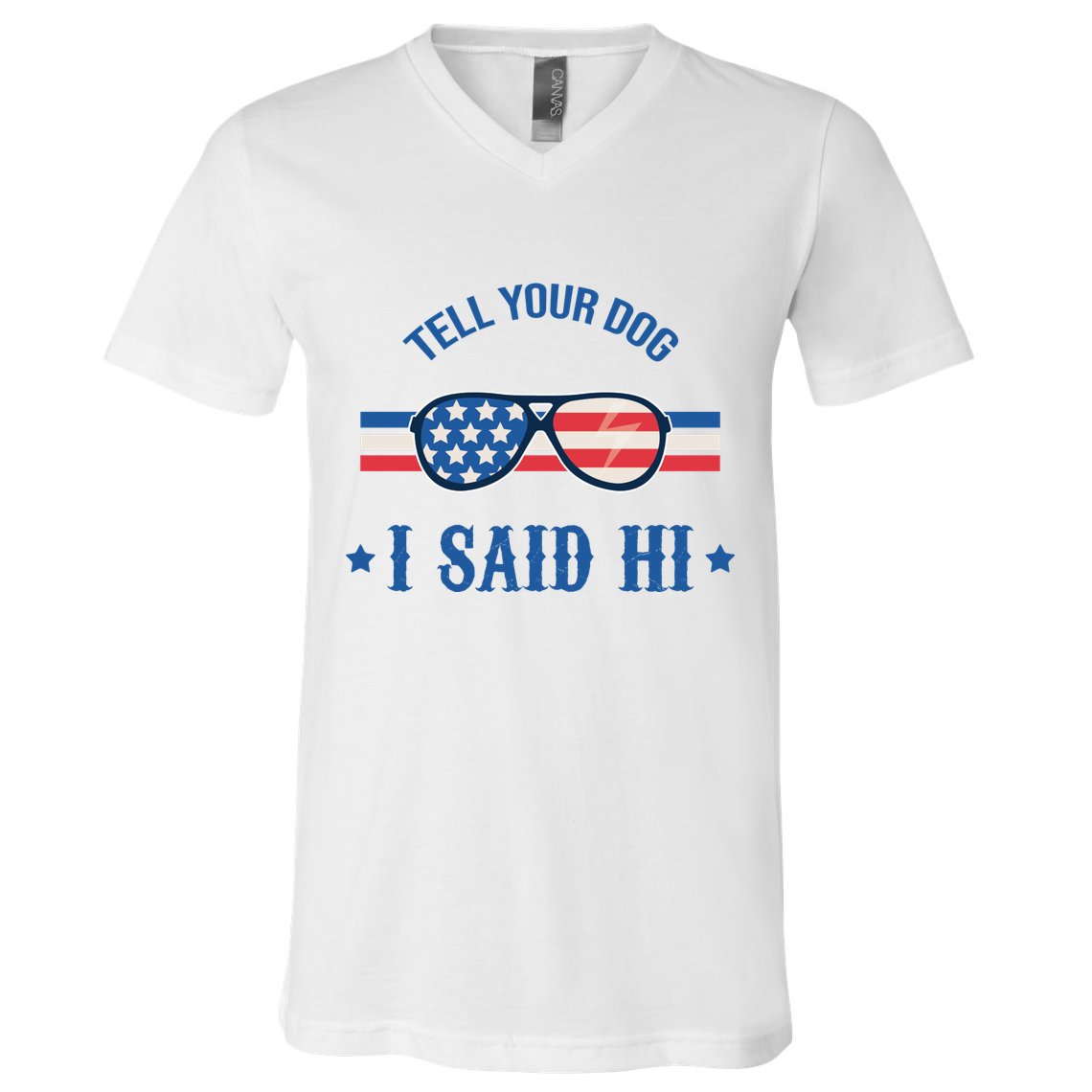 Tell Your Dog I Said Hi Funny USA Retro Shades V-Neck T-Shirt
