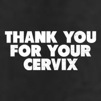 Thank You For Your Cervix Funny Adult Humor Beanie