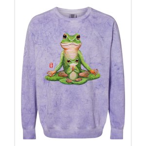 Two Yoga Frogs Meditation Yoga Animal Frogs Lover Gift Cool Gift Colorblast Crewneck Sweatshirt