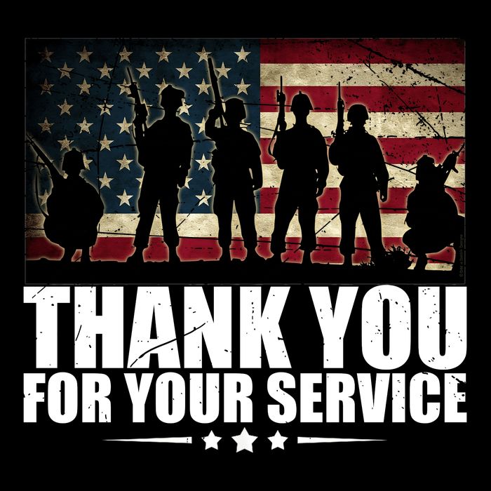 Thank You For Your Service Veteran Day Gift Wool Snapback Cap