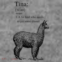 Tina You Fat Lard Come Get Some Dinner Funny Sustainable Beanie