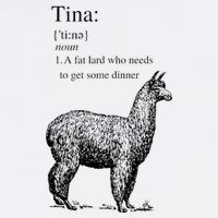 Tina You Fat Lard Come Get Some Dinner Funny Magnet