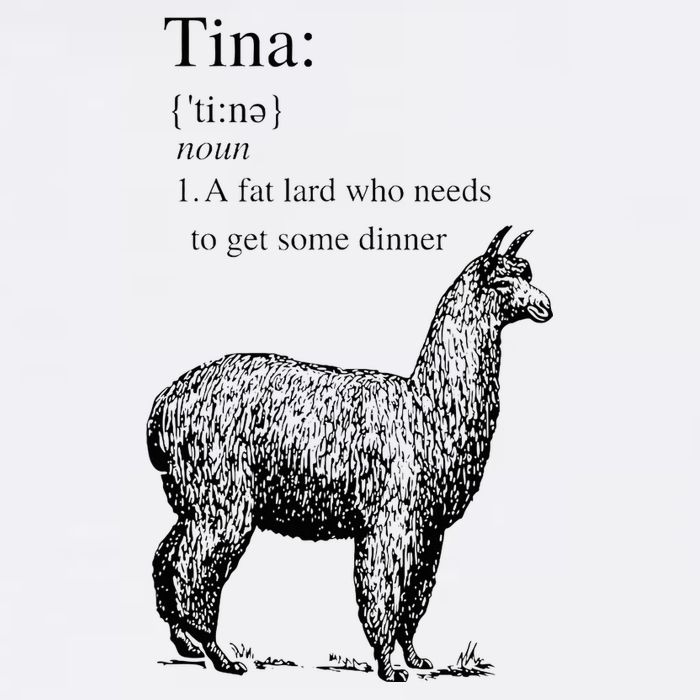 Tina You Fat Lard Come Get Some Dinner Funny Magnet