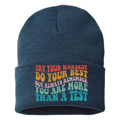 Try Your Hardest Do Your Best Teacher Te Day Sustainable Knit Beanie