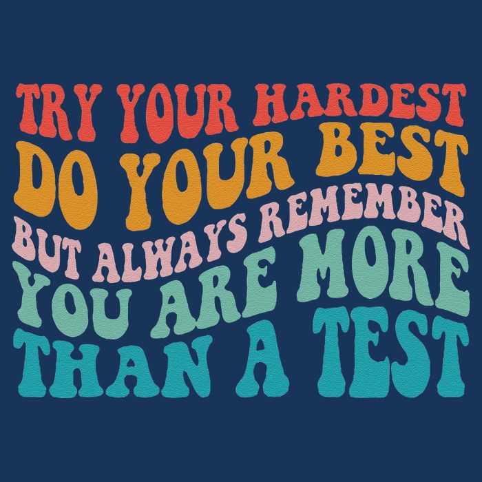 Try Your Hardest Do Your Best Teacher Te Day Pom Pom 12in Knit Beanie