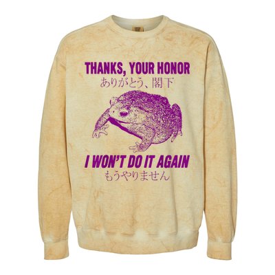 Thanks Your Honor I WonT Do It Again Frog Colorblast Crewneck Sweatshirt