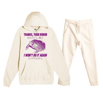 Thanks Your Honor I WonT Do It Again Frog Premium Hooded Sweatsuit Set