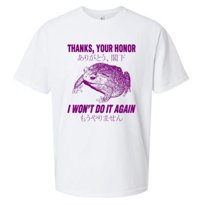 Thanks Your Honor I WonT Do It Again Frog Sueded Cloud Jersey T-Shirt