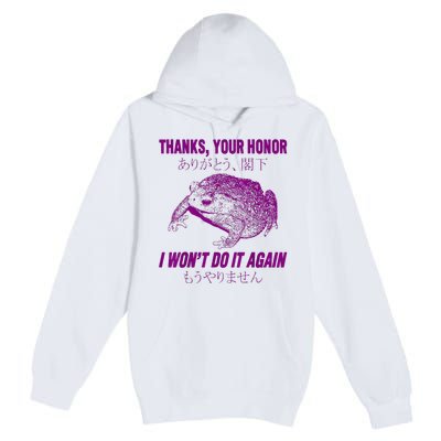 Thanks Your Honor I WonT Do It Again Frog Premium Pullover Hoodie