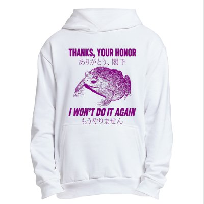 Thanks Your Honor I WonT Do It Again Frog Urban Pullover Hoodie