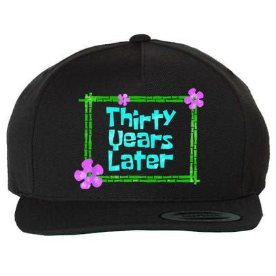 Thirty Years Later Funny 30 Year Old Birthday Party Wool Snapback Cap