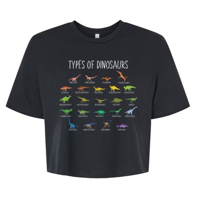 Types of Dinosaurs Bella+Canvas Jersey Crop Tee