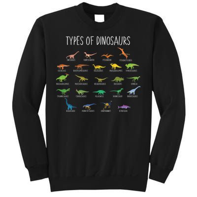 Types of Dinosaurs Sweatshirt