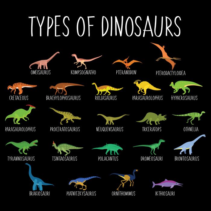 Types of Dinosaurs Backpack