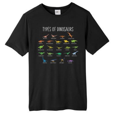 Types of Dinosaurs Tall Fusion ChromaSoft Performance T-Shirt