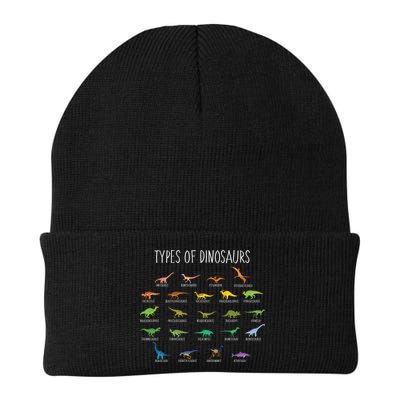 Types of Dinosaurs Beanie