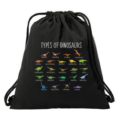 Types of Dinosaurs Drawstring Bag