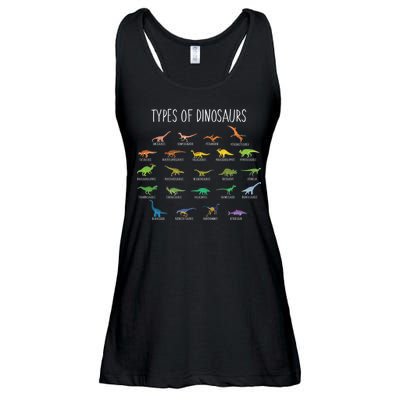 Types of Dinosaurs Ladies Essential Flowy Tank