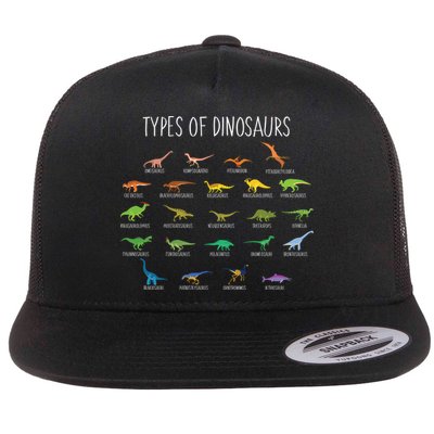 Types of Dinosaurs Flatbill Hat
