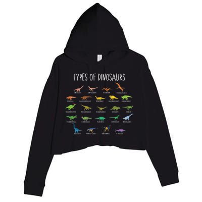 Types of Dinosaurs Crop Fleece Hoodie