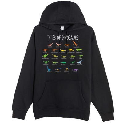 Types of Dinosaurs Premium Pullover Hoodie