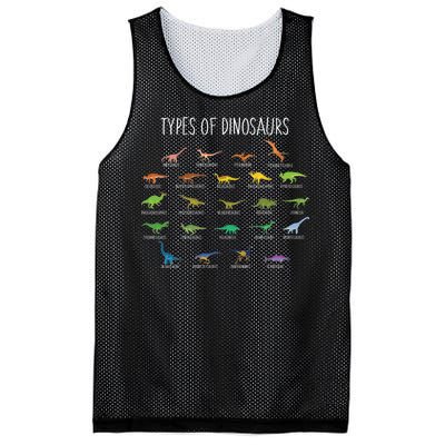 Types of Dinosaurs Mesh Reversible Basketball Jersey Tank