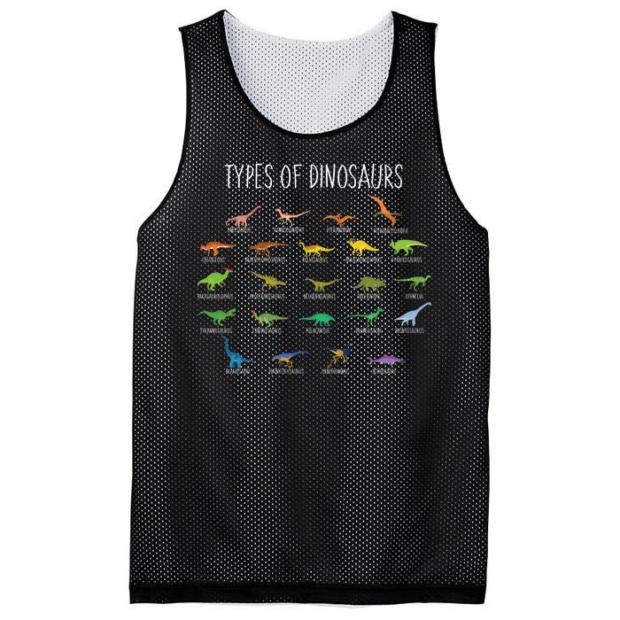 Types of Dinosaurs Mesh Reversible Basketball Jersey Tank