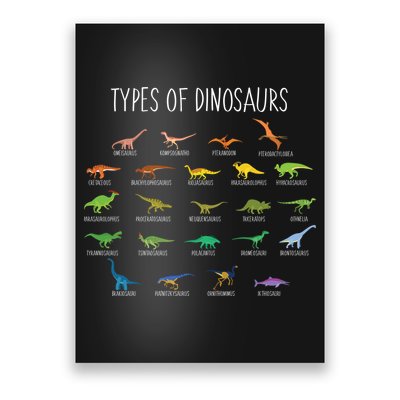 Types of Dinosaurs Poster