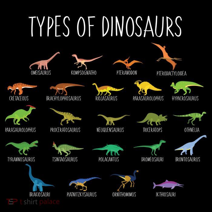 Types of Dinosaurs Premium T-Shirt