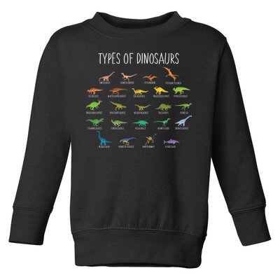 Types of Dinosaurs Toddler Sweatshirt