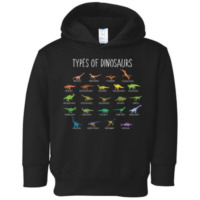 Types of Dinosaurs Toddler Hoodie