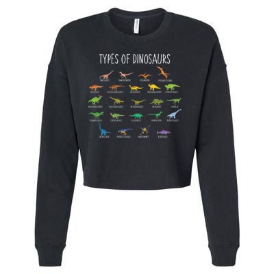 Types of Dinosaurs Cropped Pullover Crew