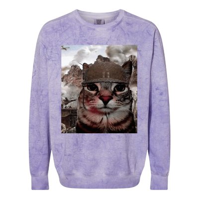 Thousand Yard Stare Funny Soldier Cat Meme In Battlefield Colorblast Crewneck Sweatshirt