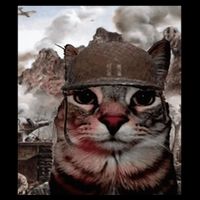 Thousand Yard Stare Funny Soldier Cat Meme In Battlefield Hoodie
