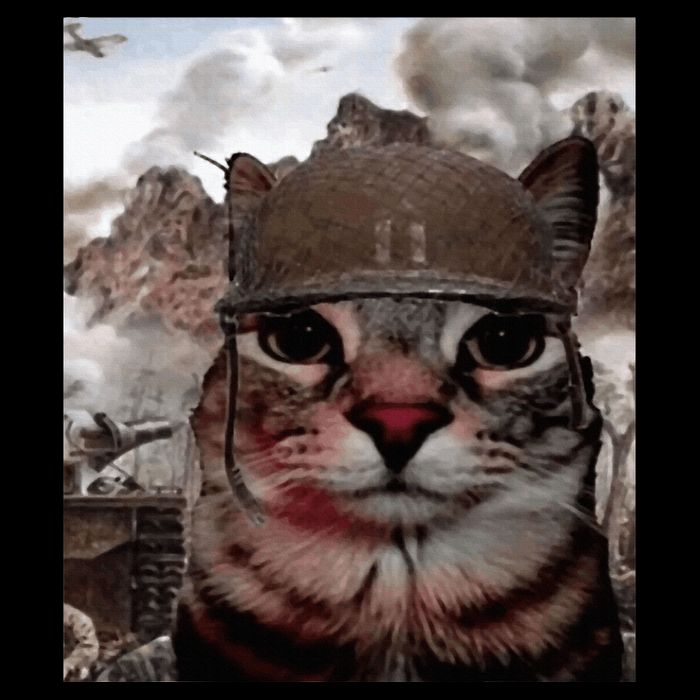 Thousand Yard Stare Funny Soldier Cat Meme In Battlefield Hoodie