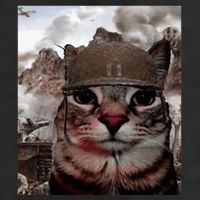 Thousand Yard Stare Funny Soldier Cat Meme In Battlefield Adult Drive Performance Visor