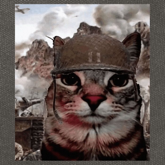 Thousand Yard Stare Funny Soldier Cat Meme In Battlefield Cotton Canvas Backpack
